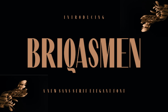 Briqasmen: The Modern Sans Serif Font That Elevates Your Campaigns