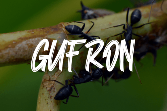Gufron: A Modern Script Font for Web Design Projects