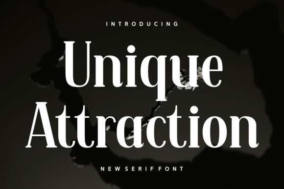 Unique Attraction Serif Font for Handmade Creations